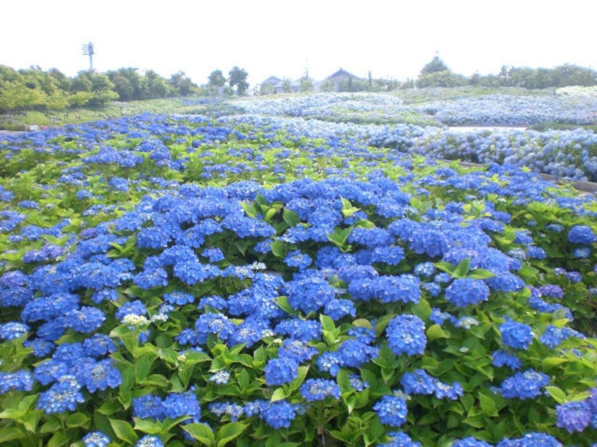 Kuwana Park Hotel - Vacation Stay 66864V 외부 사진
